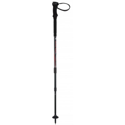 Trekking poles Exped Anthracite/orange