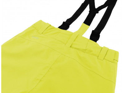Men's skiing pants CLARK sulphur spring