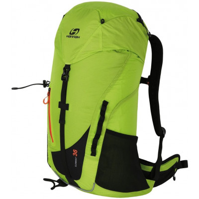 Backpack ELEMENT 36 Green
