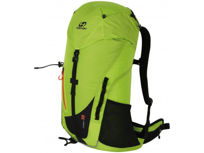 Backpack ELEMENT 36 Green