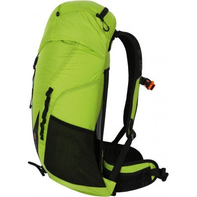 Backpack ELEMENT 36 Green 2