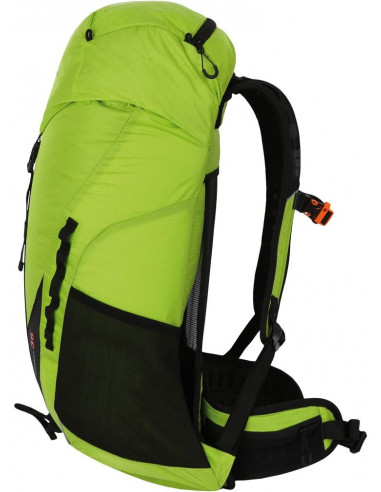 Backpack ELEMENT 36 Green