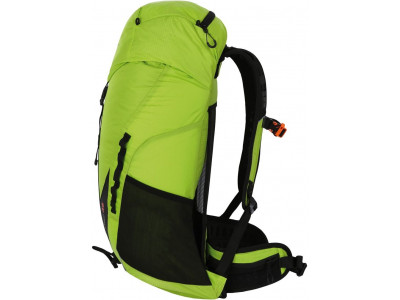 Backpack ELEMENT 36 Green