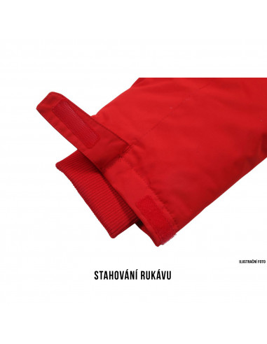 Pánská péřová bunda   Dantex M tm.modrá