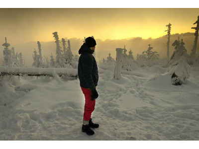 Pánská péřová bunda   Donnie M krémově žlutá