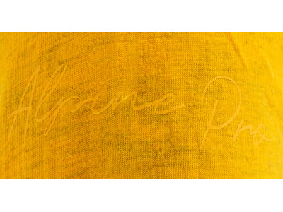 Ladies T-Shirt CLAUDA sunflower 