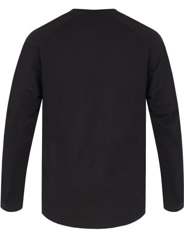 Men's everyday T-shirt, L / S HANES anthracite