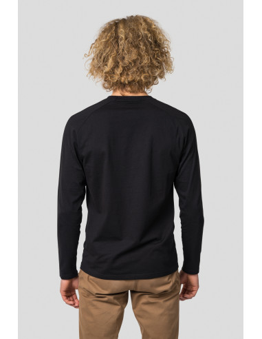 Men's everyday T-shirt, L / S HANES anthracite