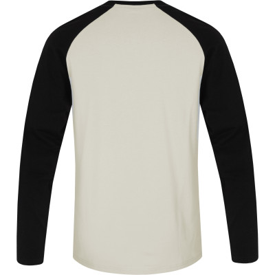 Men's everyday T-shirt, L / S HANES light gray / anthracite 2