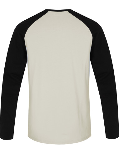 Men's everyday T-shirt, L / S HANES light gray / anthracite