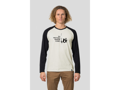 Men's everyday T-shirt, L / S HANES light gray / anthracite