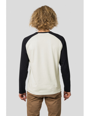 Men's everyday T-shirt, L / S HANES light gray / anthracite