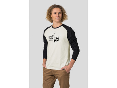 Men's everyday T-shirt, L / S HANES light gray / anthracite