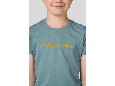 Kids leisure time short sleeve T-shirt RANDY JR smoke blue