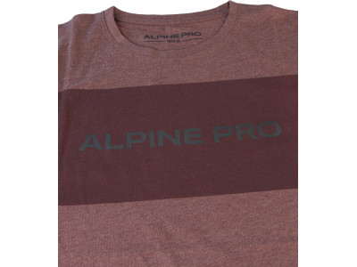 Men´s casual T-shirt ZEBARO rum raisin