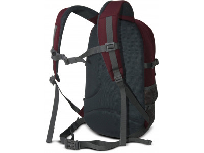 backpack ESCAPE 25L Red/Bordo