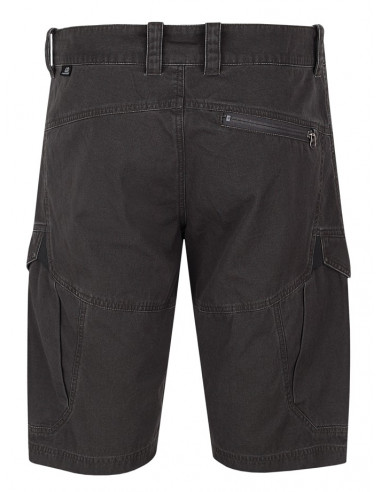 Men's shorts Flag Peat