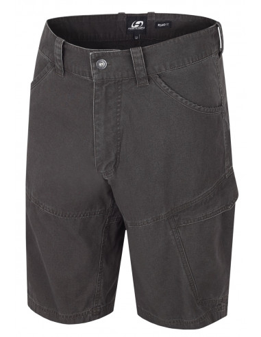 Men's shorts Flag Peat