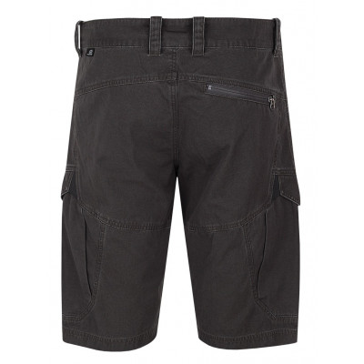 Men's shorts Flag Peat 2