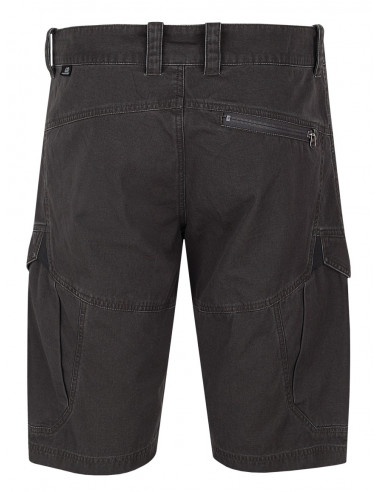 Men's shorts Flag Peat