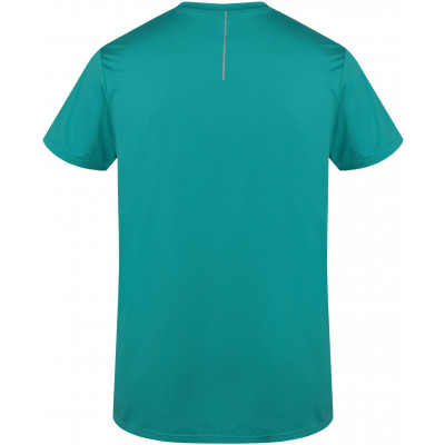 Men's T-shirt, S/S PARNELL dynasty green 2