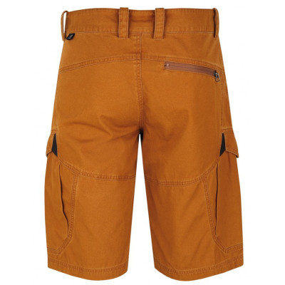 Men's shorts Flag Golden brown 2